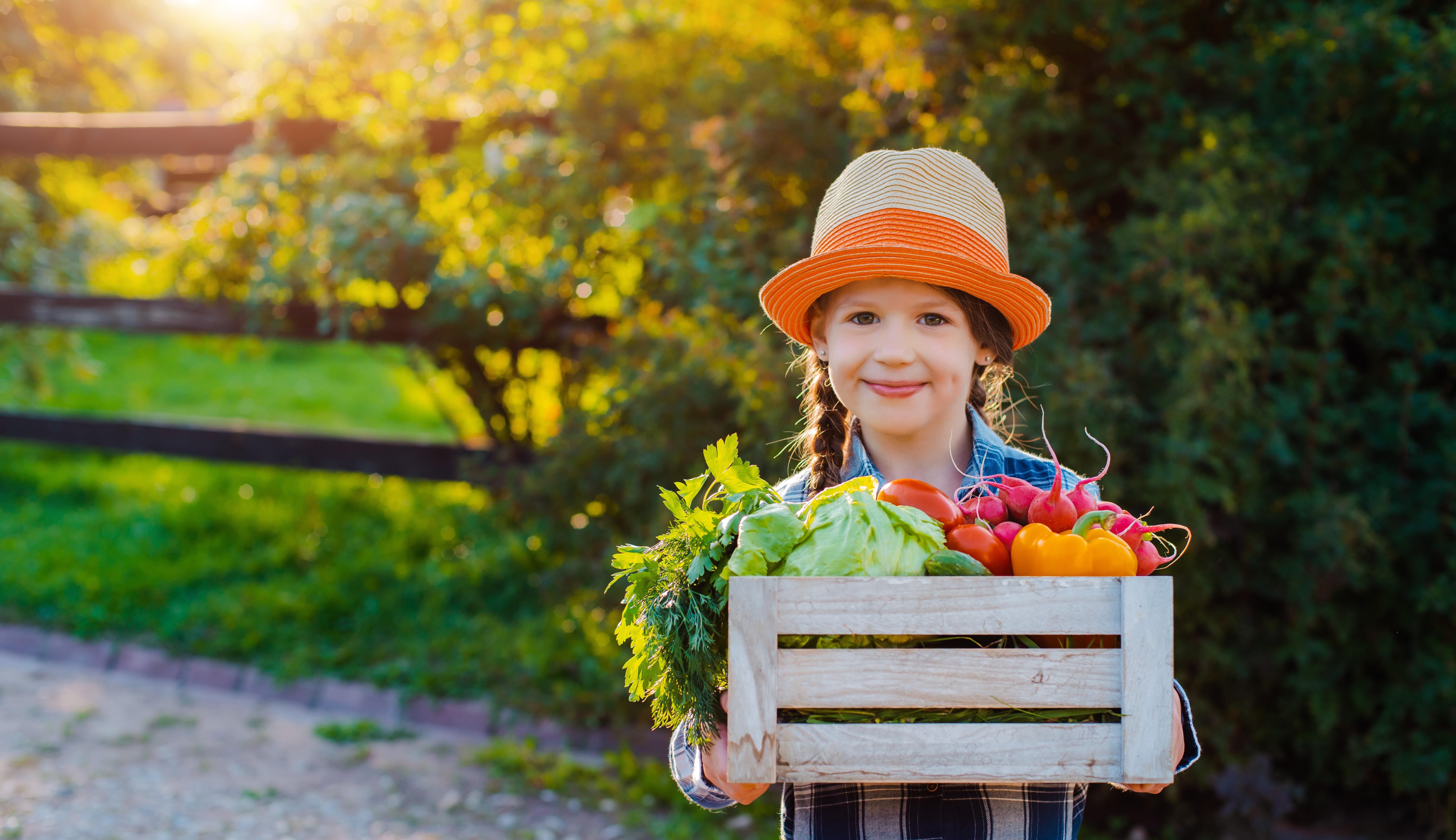Minos Imperial Luxury Beach Resort & Spa Milatos Zewnętrze zdjęcie A child with a crate of vegetables